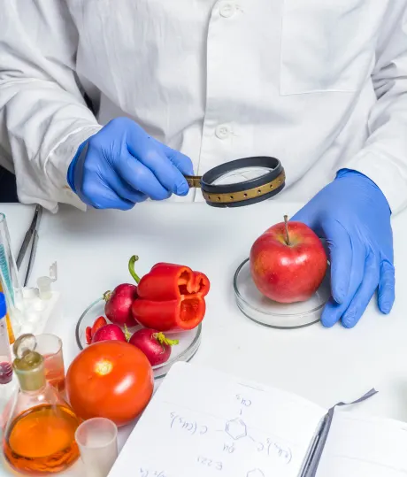 Food and Agricultural Product Safety